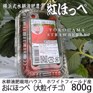 「べにほっぺ」大粒のみ800g【クール便】