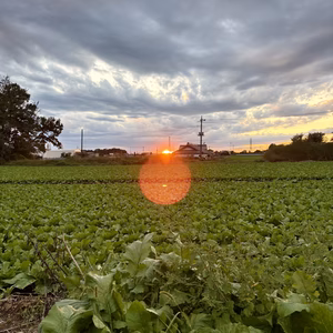 【体験商品】自然と人とがつながる　畑体験コミュニティ！