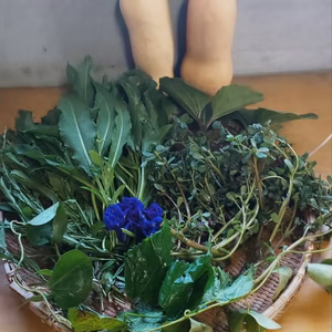 野草&野菜セット