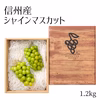 シャイン 約１.２kg【信州産】弾ける果汁！朝摘みシャインマスカット２〜３房