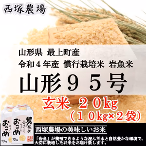 【山形県産】慣行栽培米 山形95号 岩魚米（玄米20kg 令和４年産）