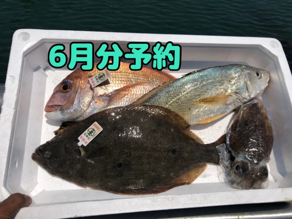 【予約】6月発送予定。瀬戸内海岡山県産鮮魚ボックス2〜4種