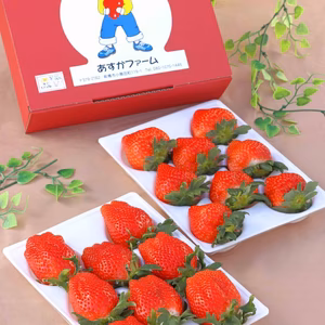 【お歳暮、お年賀】【ジューシー】とにかく甘い希少いちご400ｇ～