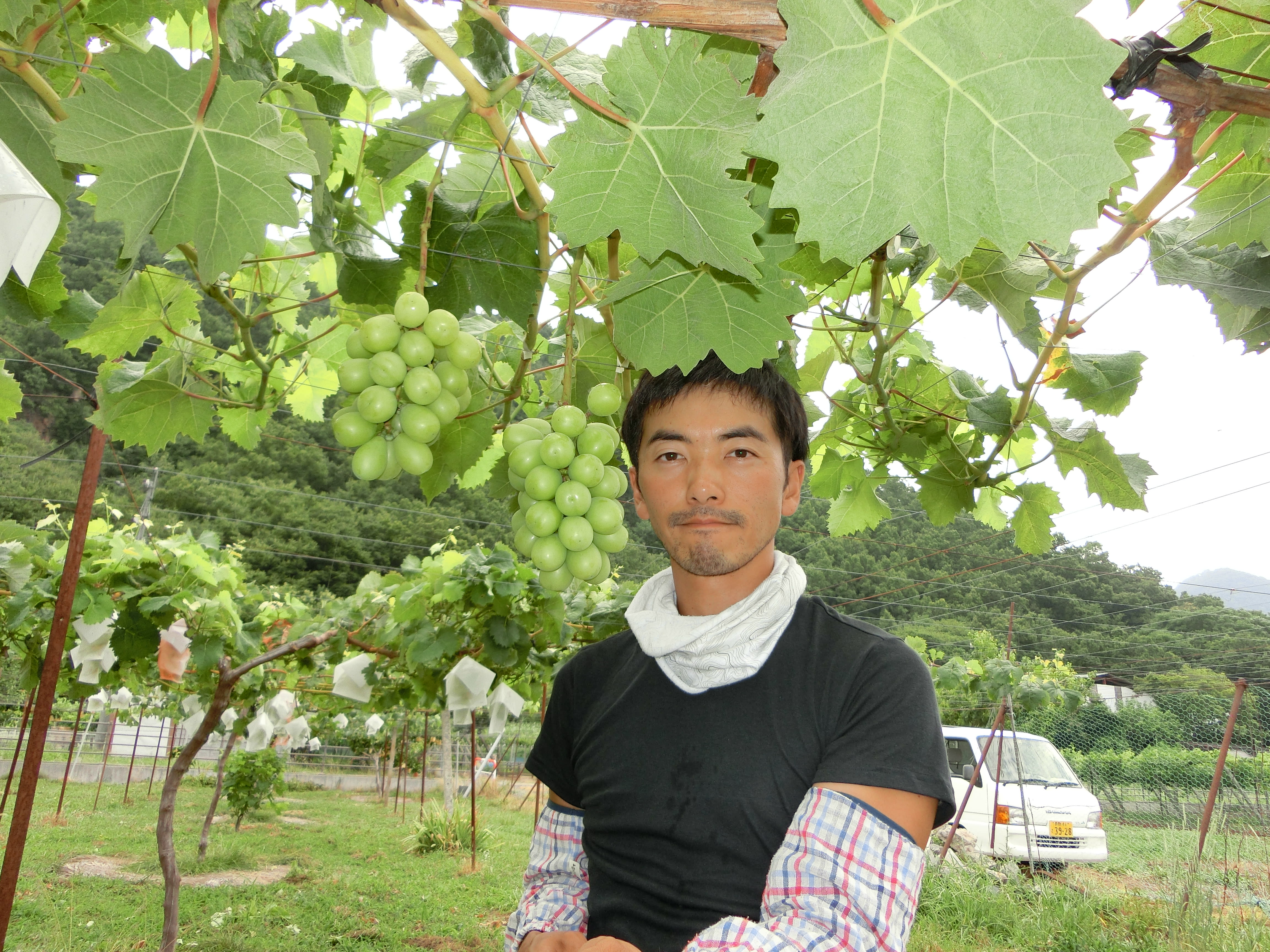 長野県長野市|たかの農園|高野哲さんの生産者プロフィール 長野県長野市|たかの農園|高野哲さんの生産者プロフィール