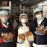 本池朋美 | 有限会社世羅きのこ園