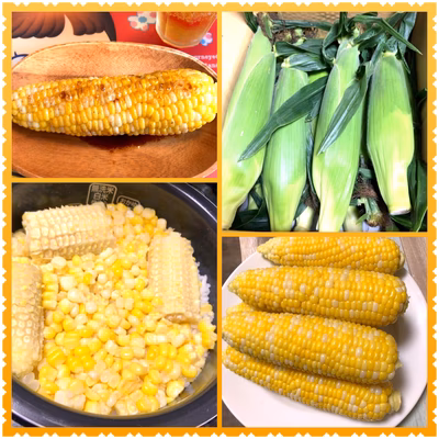 みんなの投稿の画像