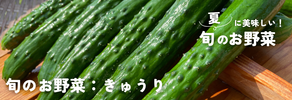 夏に旬の野菜 きゅうり