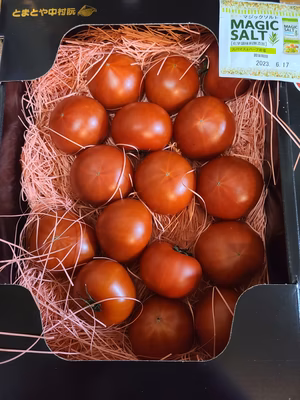 みんなの投稿の画像