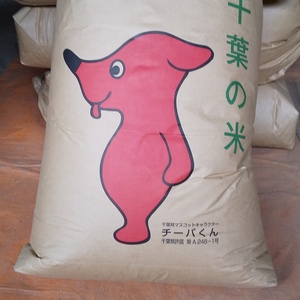 令和2年度産 千葉県産コシヒカリ 精米20キロ 最終在庫処分