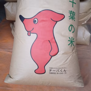 令和2年度産  千葉県産コシヒカリ  精米20キロ  最終在庫処分
