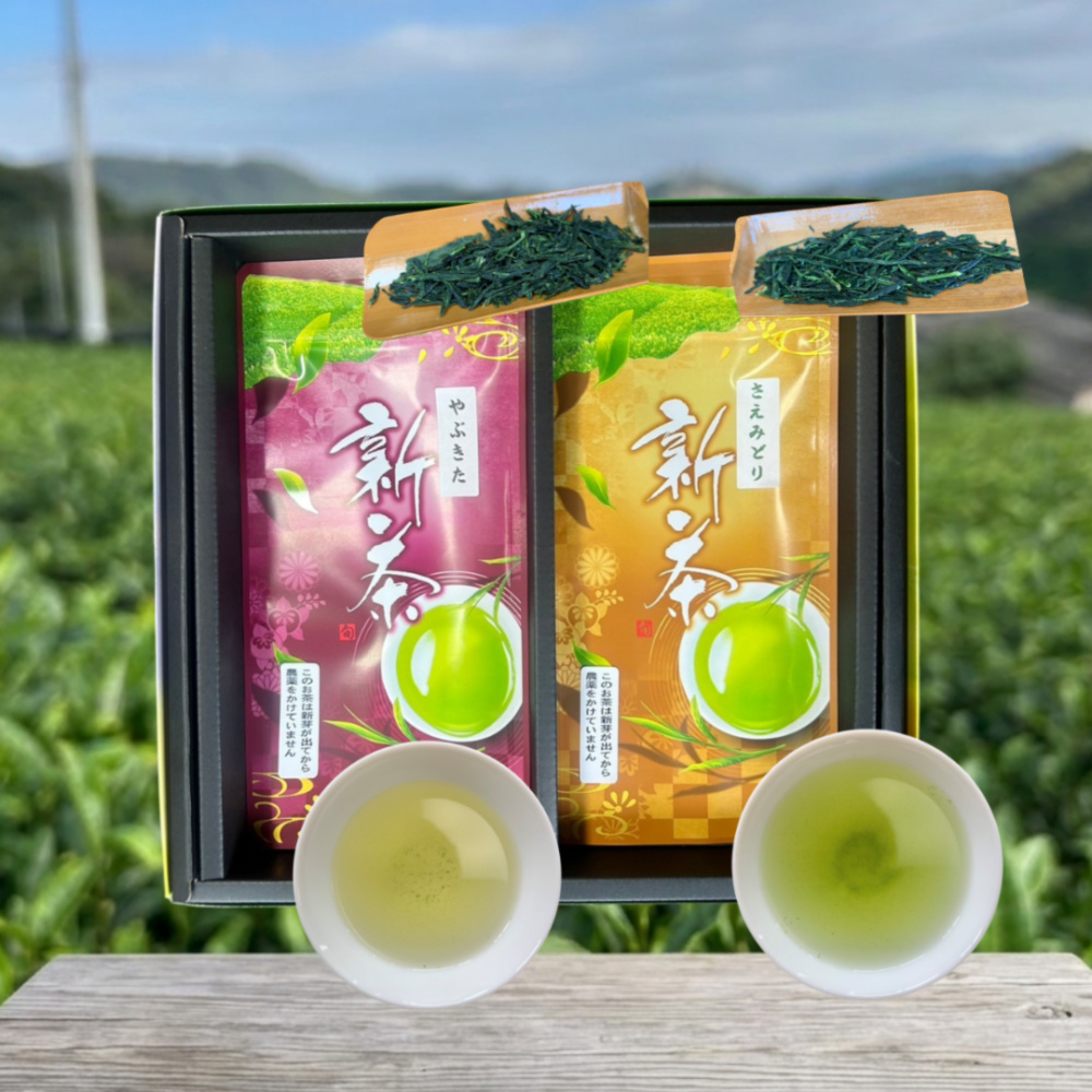 新茶ギフト】この時期だけの季節の便り！R8年新茶2品種飲み比べ