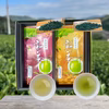 【新茶ギフト】この時期だけの季節の便り！R8年新茶２品種飲み比べ！