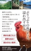 【熊野地鶏】　鶏ガラ5本。