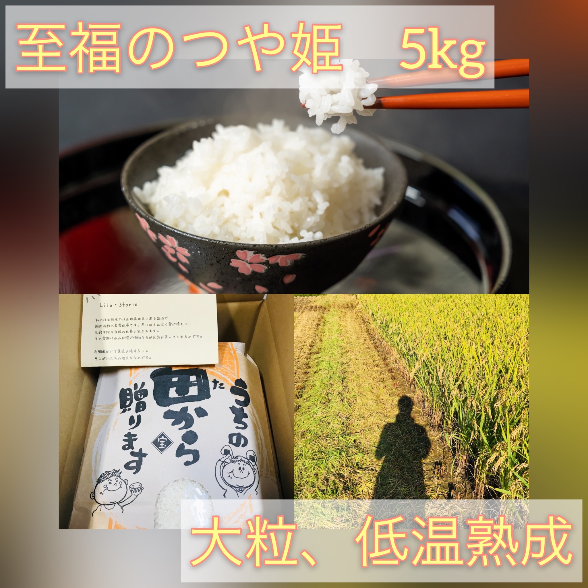 新米予約5kg 大粒厳選 低温熟成乾燥 至福のつや姫 山形県 令和3年度産 農家漁師から産地直送の通販 ポケットマルシェ