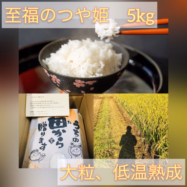 新米予約5kg 大粒厳選☆低温熟成乾燥　至福のつや姫　山形県　令和3年度産