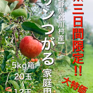 3日間限定‼︎大特価‼︎なくなり次第終了‼︎【長野県松川村産】サンつがる 家庭用