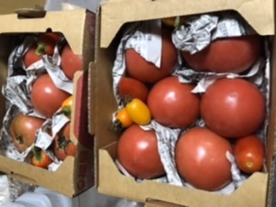 みんなの投稿の画像