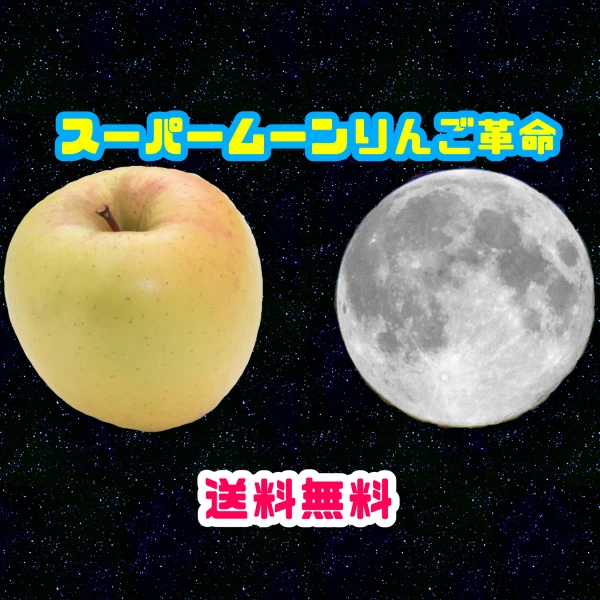 送料無料◎スーパームーンりんご3kg【蜜入り100％！】