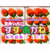 夏秋いちご「すずあかね」トレー最大大玉《１２玉》入【ギフト用】