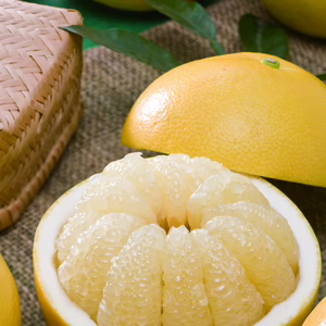 【3kg】家庭で楽しむ土佐文旦　高知の春の味覚！