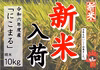 新米！もちもちの弾力！令和6年産「にこまる」10kg(精米５㎏×2袋)