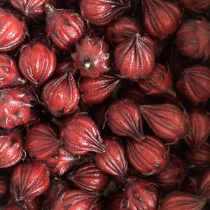 フレッシュ生ローゼル！ジャムや塩漬けに！栽培期間中農薬化学肥料不使用。滋賀県産。