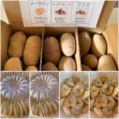 みんなの投稿の画像