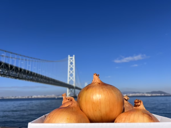 《淡路島玉ねぎ》浜玉3Kg   １回食べてみて〜♪トロ甘ですよ♪
