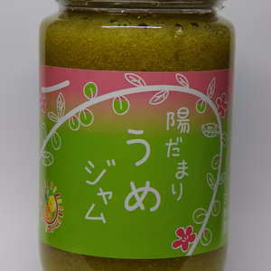 甘酸っぱい　梅ジャム 380g 栽培期間中農薬不使用 南高梅限定使用
