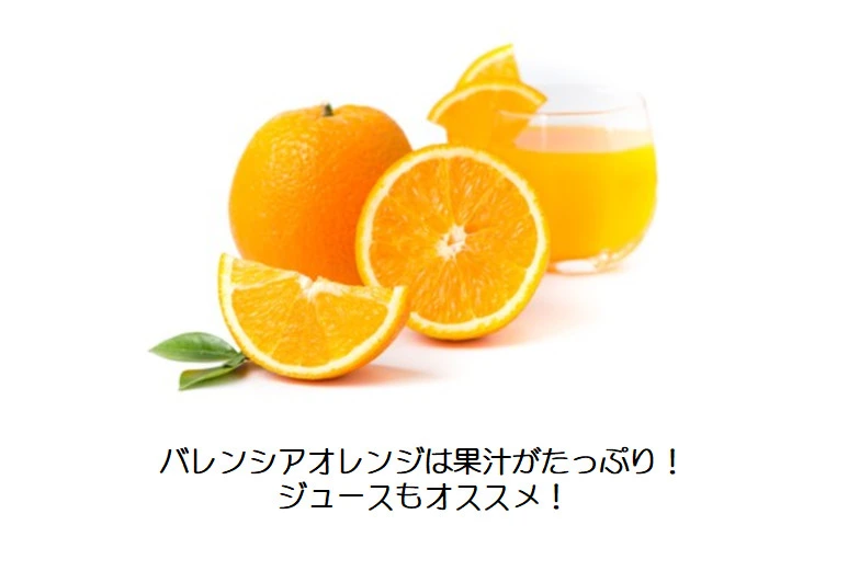 【最終出荷】とみ子ばぁちゃんのバレンシアオレンジ