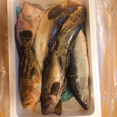 みんなの投稿の画像