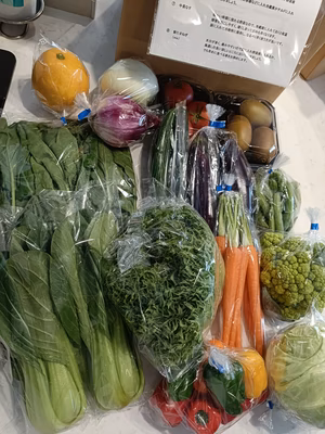 みんなの投稿の画像