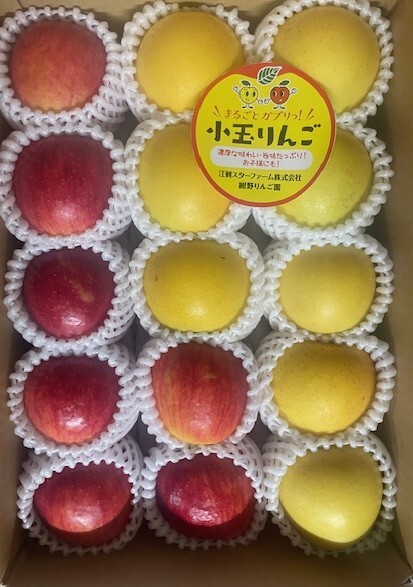 まるごとガブリっ!小玉・食べきりサイズMIXりんご[岩手奥州市江刺産] 小玉おまかせミックス2kg