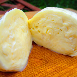 【東北食べる通信お試し企画】モッツァレラ・金のチーズ【おさんぽジャージー牧場】