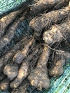 【残りわずか‼️2年物‼️】自然栽培の短径自然薯