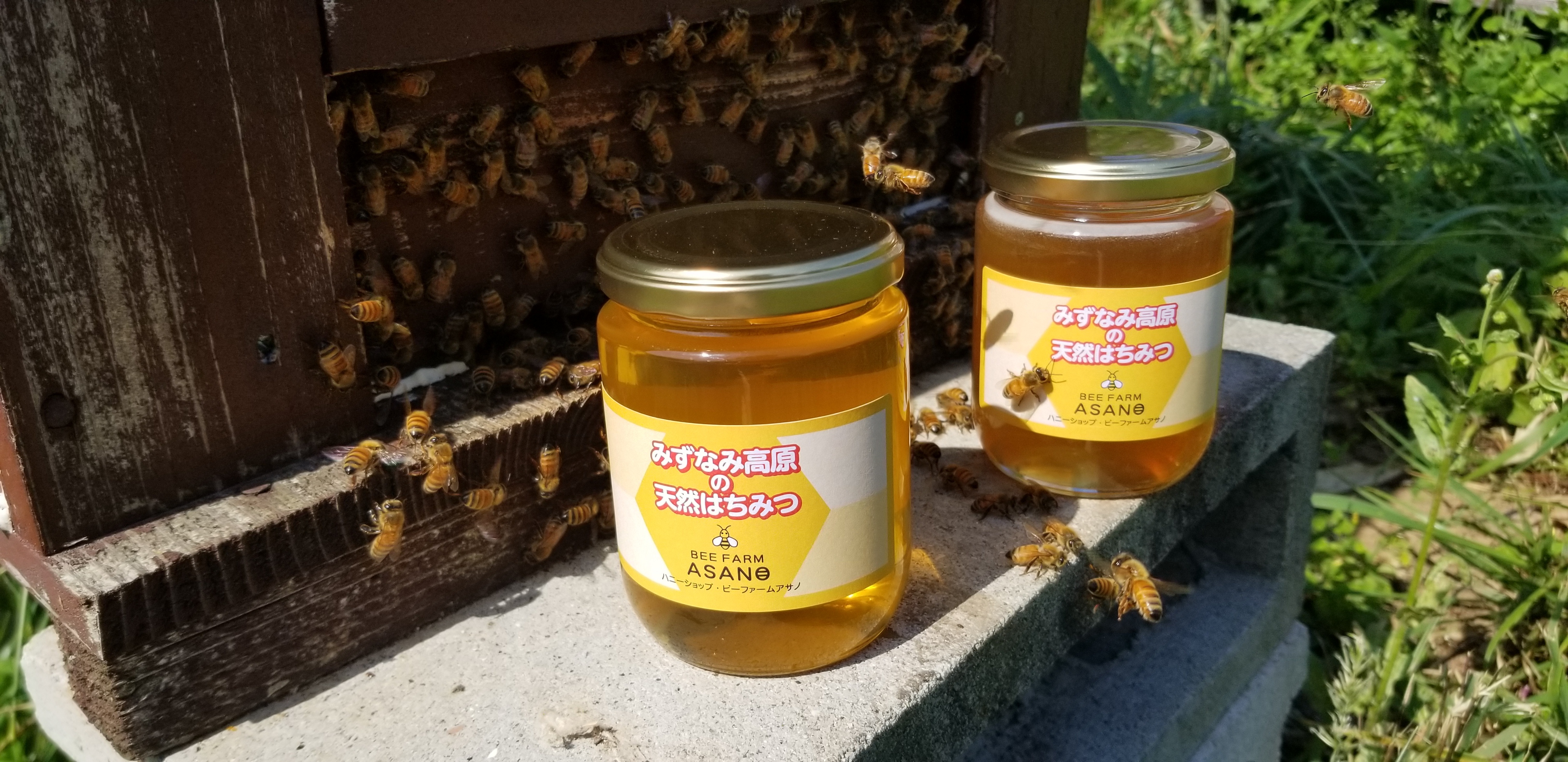 みずなみ高原の天然ハチミツ｜蜂蜜の商品詳細｜ポケットマルシェ｜産地