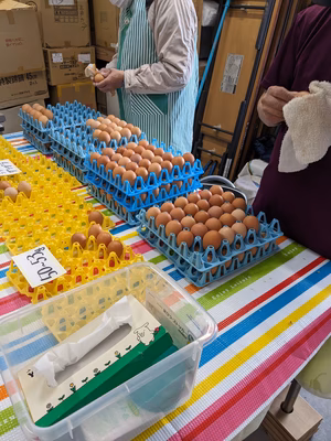 みんなの投稿の画像