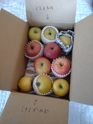 みんなの投稿の画像