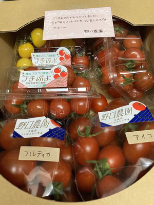 みんなの投稿の画像