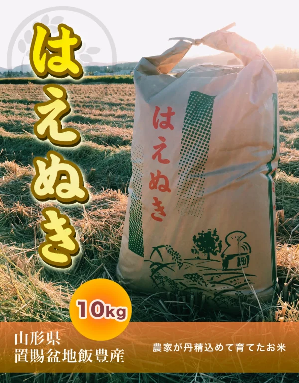 【白米】はえぬき10kg 山形県飯豊町産 特別栽培米