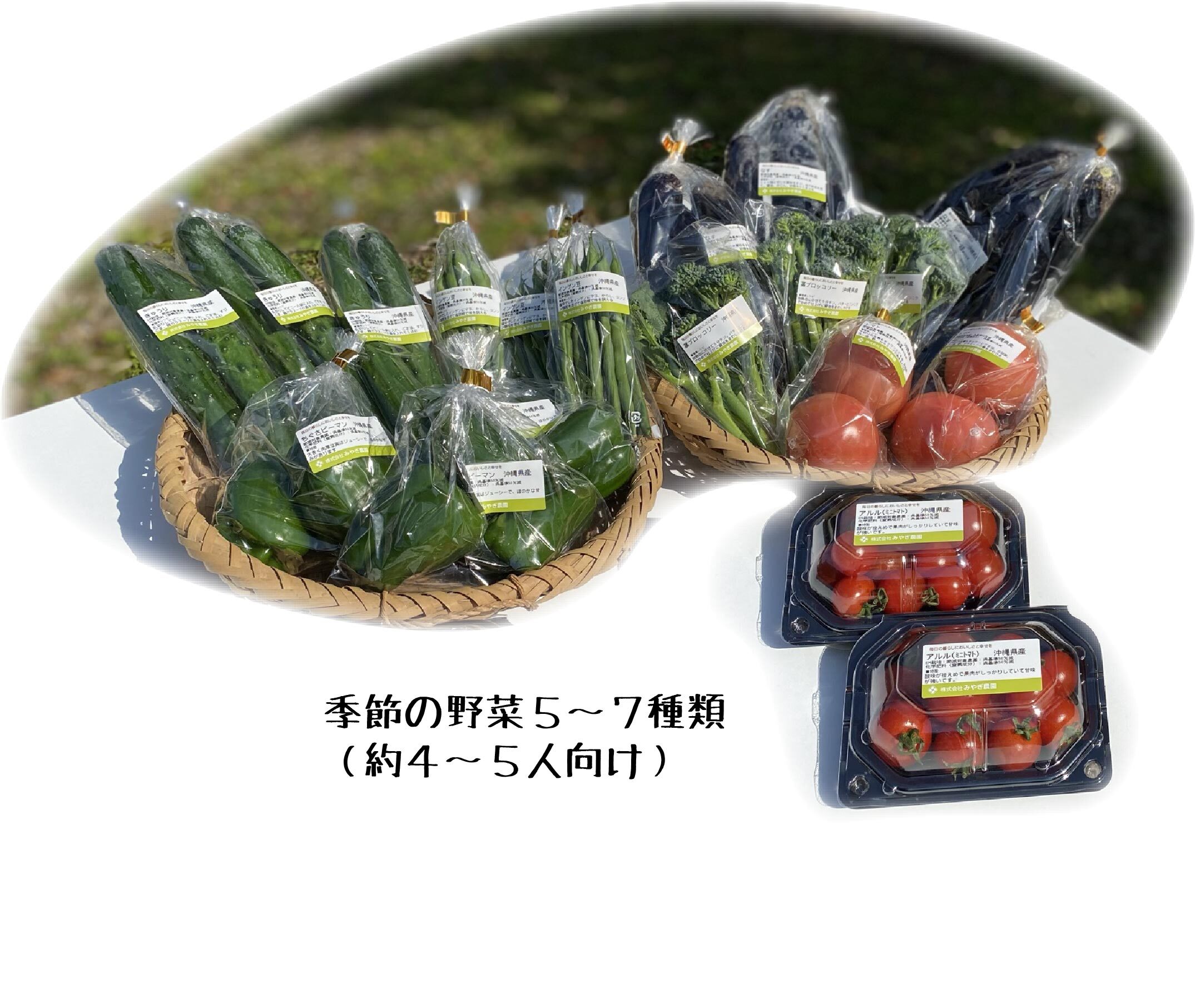 冬期】沖縄県産　旬の果物・野菜　季節の野菜セット（野菜5～7種類(4～5人向け））｜野菜の商品詳細｜ポケットマルシェ｜産直(産地直送)通販　・魚介をお取り寄せ