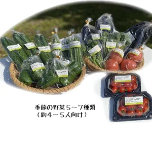【夏期】沖縄県産 季節の野菜セット（野菜5～7種類(4～5人向け））