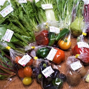 【カラフル７】農家におまかせ！今が旬のカラフルセブン野菜Box【クール便】