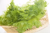 洗わずに食べられる野菜アソート3種セット (フリルレタス＆アイスプラント＆よもぎ