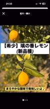 ⭐️希少⭐️樹熟 凛の香レモン 減農薬 使い道色々☆皮まで使えます☆