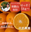 農家直送！はっさく　秀品5kg〜【平武農園】和歌山｜有田｜田口｜こだわり