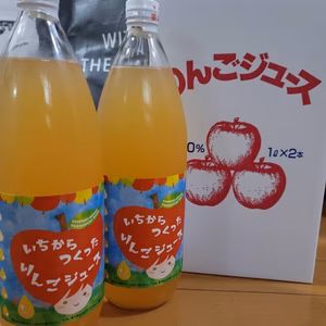 【2023福袋商品】リンゴジュース　無添加果汁100％(特別価格)