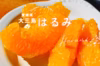 はるみ☆大三島産☆爽やかな甘さとプチプチ食感が魅力です♪