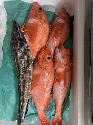 みんなの投稿の画像