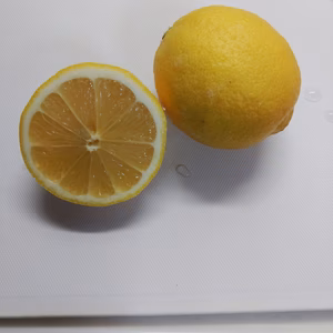 長崎　伊木力産　完熟レモン(お試し)